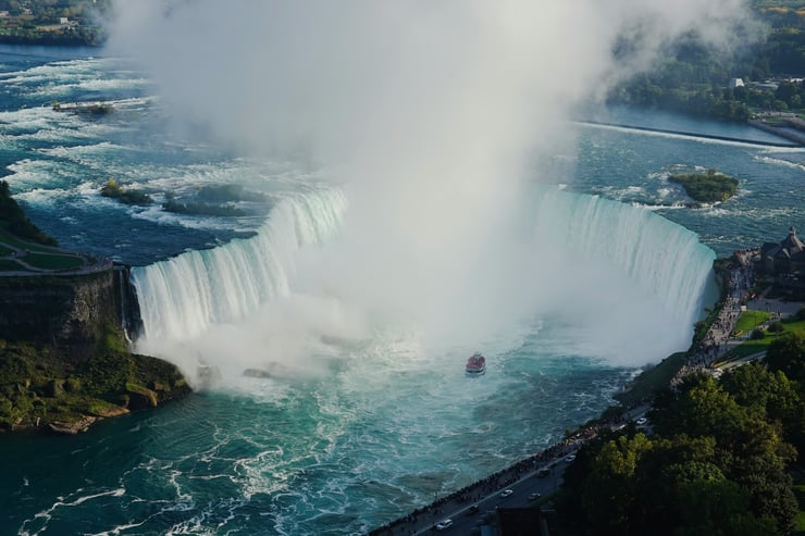 Les chutes du niagara : Un havre de vie pour la faune locale