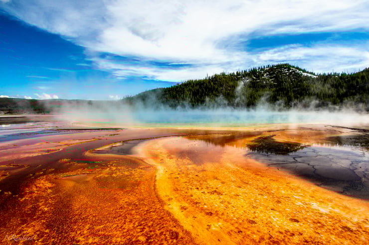 mammoth hot springs parc de yellowstone