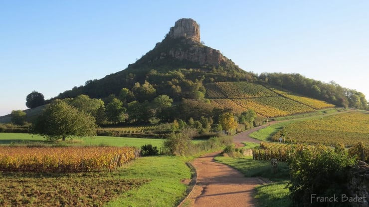 roche de solutre faune et flore saone et loire bourgogne