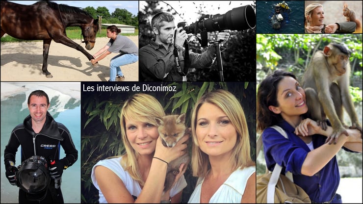 interview metier diconimoz perrine corsmary laurent baheux helene gateau sandrine arcizet elodie ageron mario cyr  emanuelle lethon