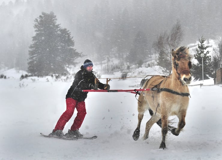 Le ski joëring à cheval : une aventure hivernale unique