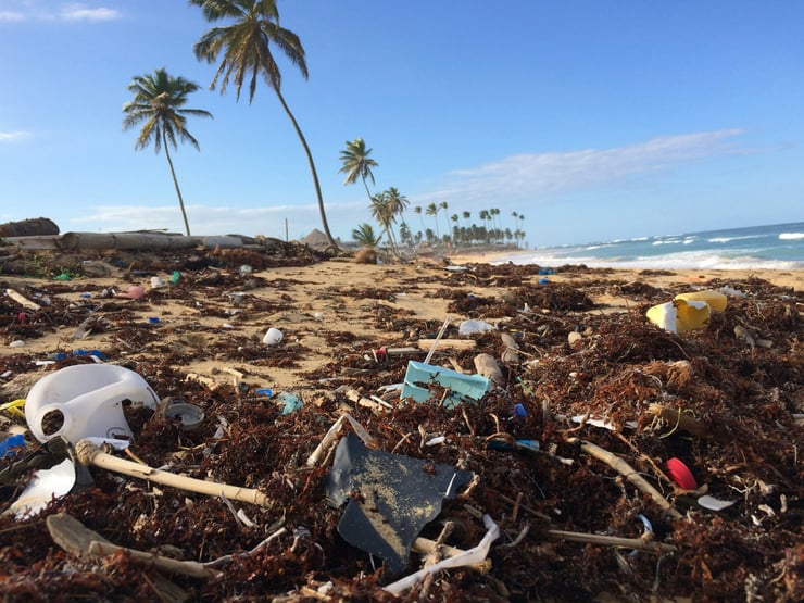 plage des caraïbes souillée de plastique et autres pollutions