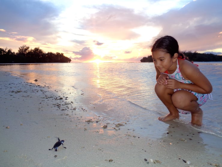 fillette au bord de la plage avec bebe tortue moorea coucher de soleil tahiti polynesie francaise
