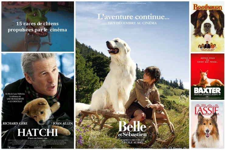 15 races de chiens propulsé par le cinéma vedette celebres