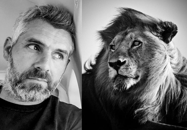 interview Laurent Baheux photographe animalier noir et blanc