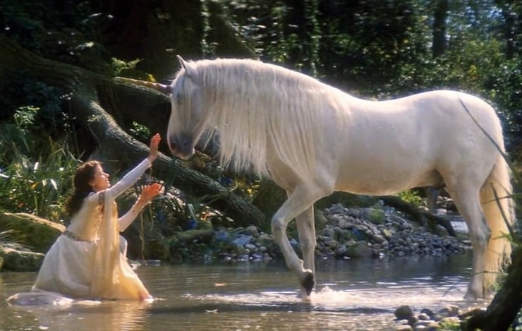 liste des animaux fantastiques et contes de fee creatures legendaires licorne