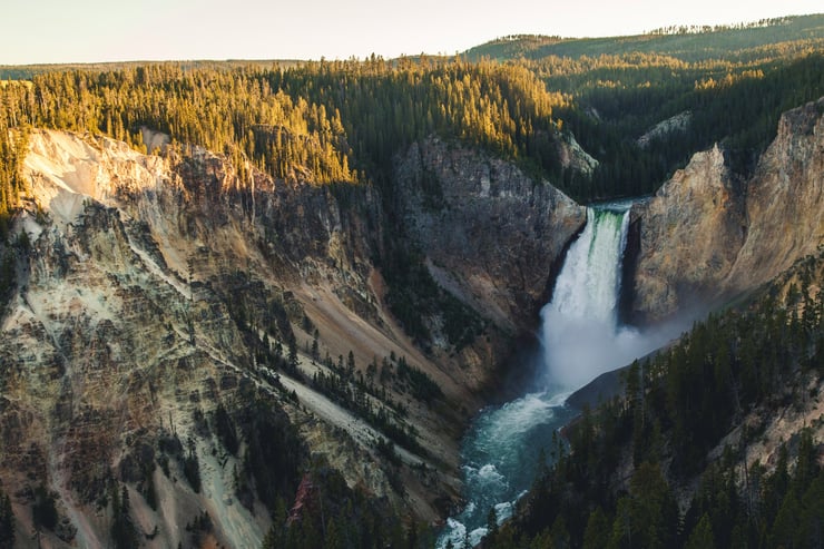 Exploring the Wildlife Riches of Yellowstone National Park