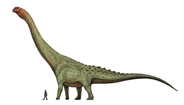 patagotitan dinosaure cretacé supérieur argentine