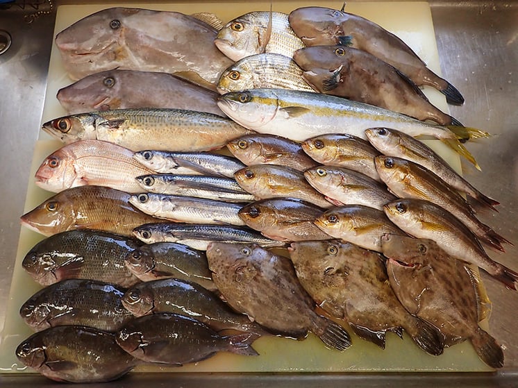 職人仕込　宅配寿司