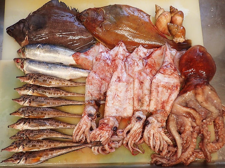 羅臼　未利用魚　有効利用