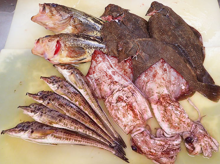 羅臼から届いた新鮮地魚です。直送だから鮮度最高です！