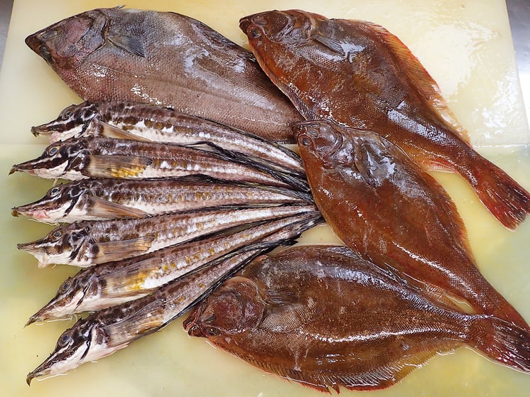 宅配寿司屋ですが、産地直送の美味しい魚を使ってます。鮮度が良く脂ののった美味しい魚でお寿司を作ります！