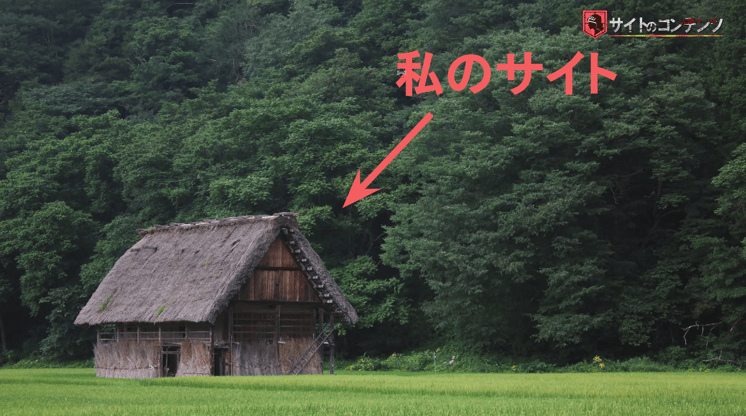 オープンしたてのサイト