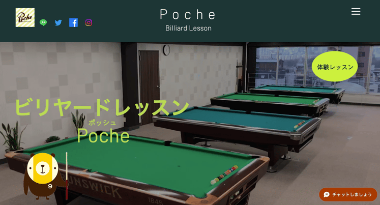 https://www.pochebilliard.com/