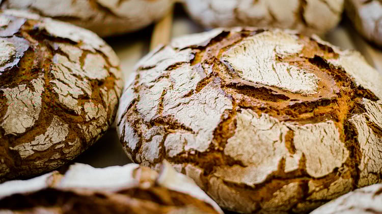 Fotos: Kernölmühle Haindl/ Stiefkind TV Kalsdorf/Mias Photoart