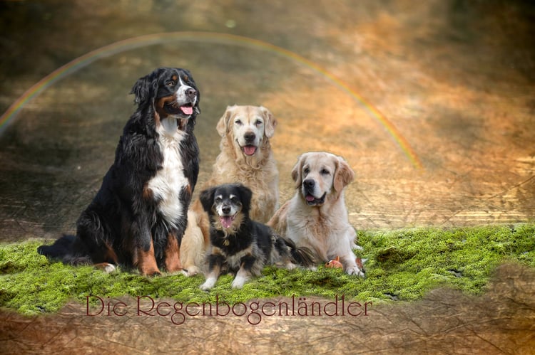 elwejeys jimdo page!