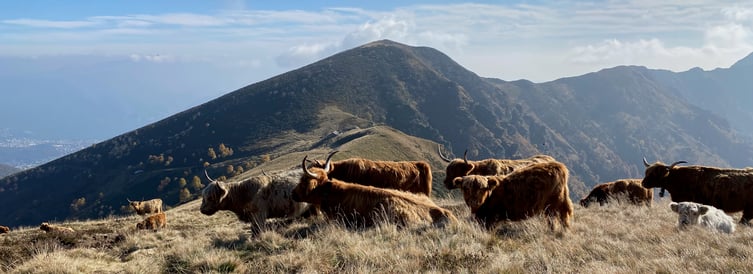 Höhenwanderung Monte Lema - Monte Tamaro