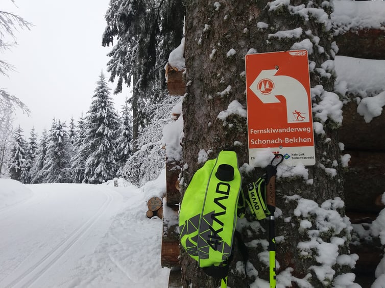 Langlauftour Fernskiwanderweg Schonach-Belchen mit Outdoorsports-Live