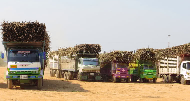 Schwer beladen mit Zuckerrohr sind z.Z. viele Lastwagen unterwegs.