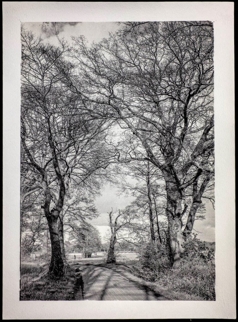 Alternative Photography