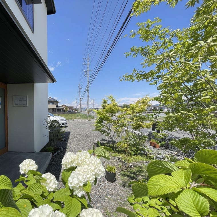 長野県　松本市　建築設計事務所　建築家　news設計室　丸山和男　住宅設計　設計監理　news設計室新事務所　植栽　新緑の季節