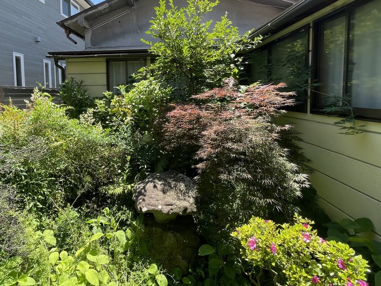 長野県 松本市 建築設計事務所 建築家 news設計室 丸山和男 住宅設計 計画地 基本設計