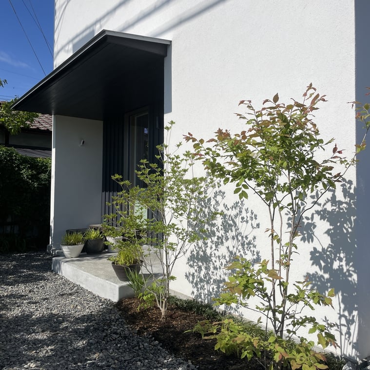 長野県　松本市　建築設計事務所　建築家　news設計室　丸山和男　住宅設計　設計監理　事務所　植栽　ナツハゼ