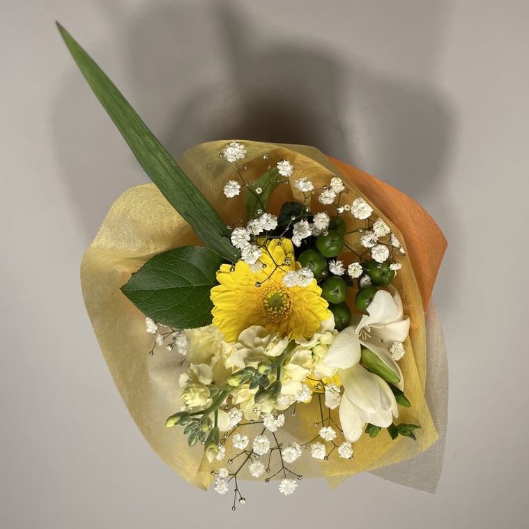 長野県　松本市　建築設計事務所　建築家　news設計室　二級建築士　二級建築士合格