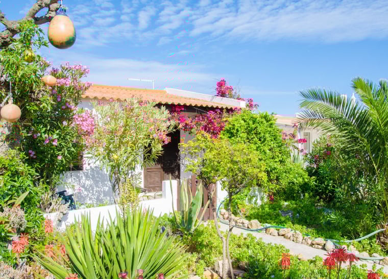 ila-culatra-ria-formosa-algarve