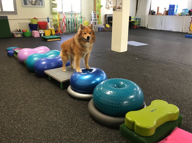 Turnen hat er geliebt!!  Sommer 2017