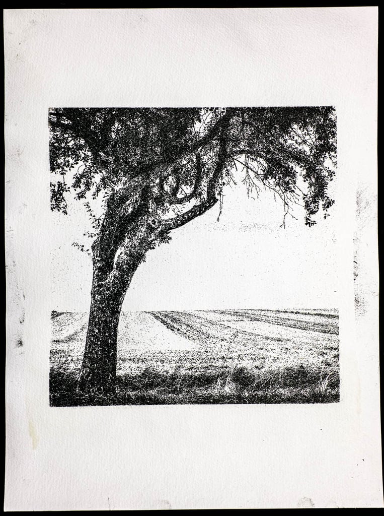 Alternative Photography