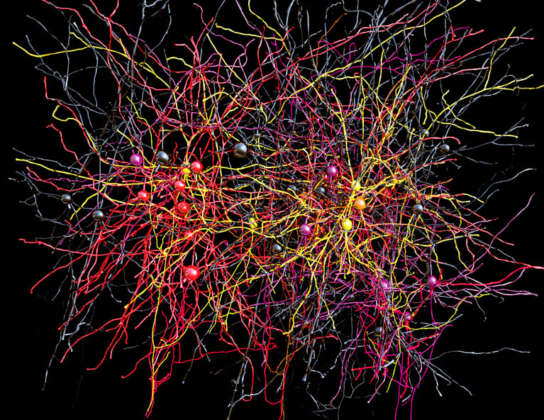 Carte 3D de réseaux neuronaux