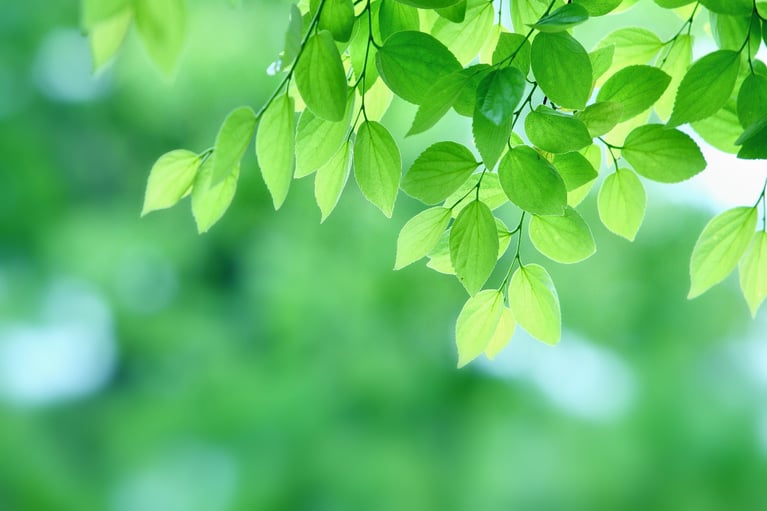 体からのサインに目を向けましょう