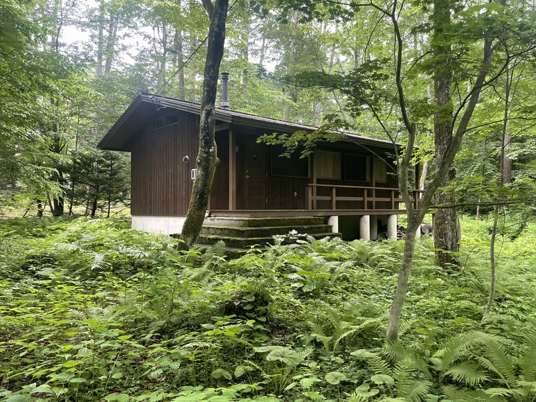 長野県 松本市 長野市 飯綱高原 建築設計事務所 建築家 news設計室 丸山和男 別荘設計 飯綱高原の山小屋Ⅰ(長野市) 山アジサイ