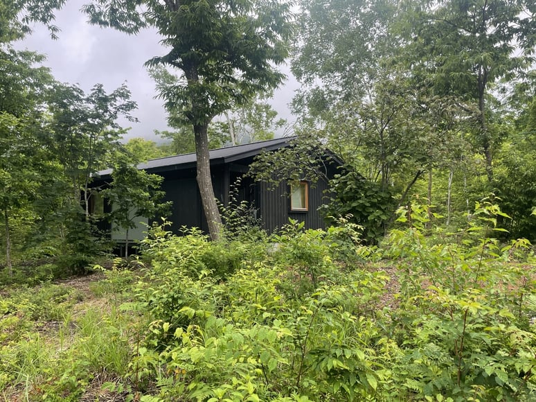 長野県 松本市 長野市 飯綱高原 建築設計事務所 建築家 news設計室 丸山和男 別荘設計 飯綱山荘Ⅱ(長野市) 山アジサイ