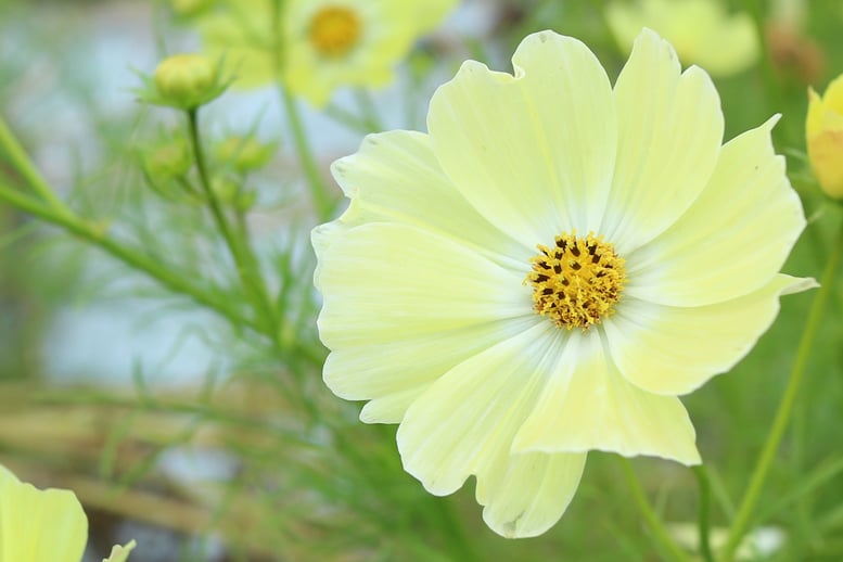 京都市下京区四条烏丸の心療内科、女医のいるメンタルクリニック