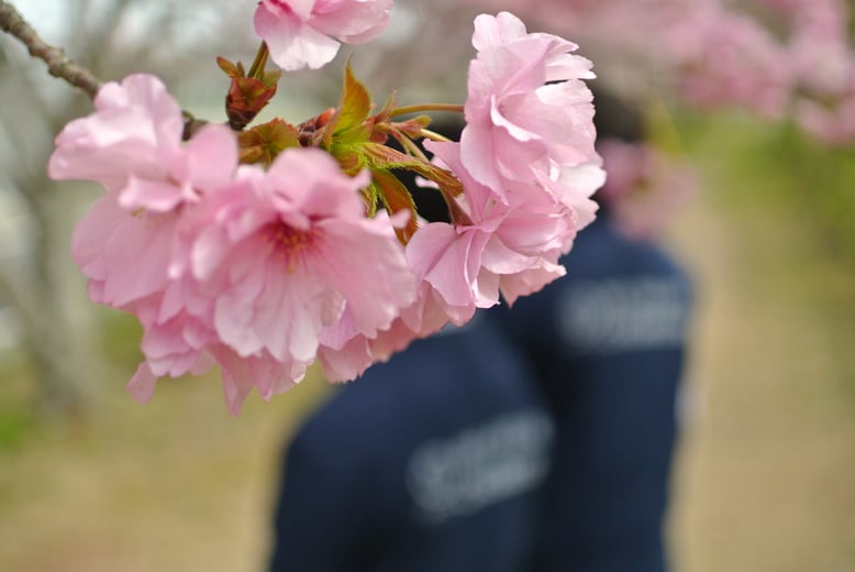 ＣＮＳ（シー・エヌ・エス）株式会社　千葉県香取市　佐原　遺品整理　空き家整理　実家整理　終活サポート 相続相談　代表取締役社長　鈴木侑也