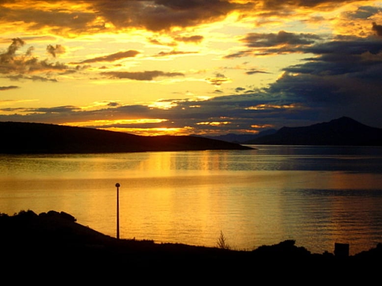 IMG-20210816-WA0011_1 