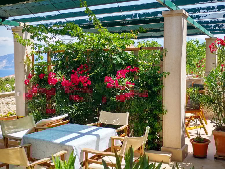 #povlja #islandbrac #wyspabrac #isolabrac #inselbrac #adriatic #sea #mare #meer #dalmatia #dalmazia #dalmatien #croatia #croazia #chorwacja #kroatien #apartmentspovlja #holidayapartments #vacation #vacanze #urlaub  