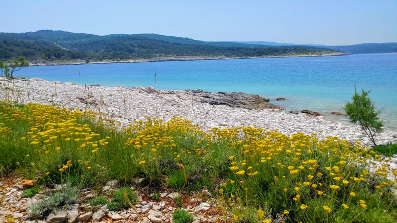 Croatia, Island Brac, Brac, Povlja, Apartments Povlja, Apartments Gracin, Holiday Apartments