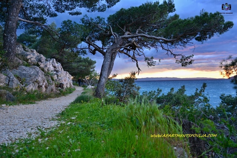 #makarska #makarskariviera #makarskabeaches #adriatic #sea #mare #meer #dalmatia #dalmazia #dalmatien #croatia #croazia #chorwacja #kroatien #apartmentspovlja #holidayapartments #vacation #vacanze #urlaub 