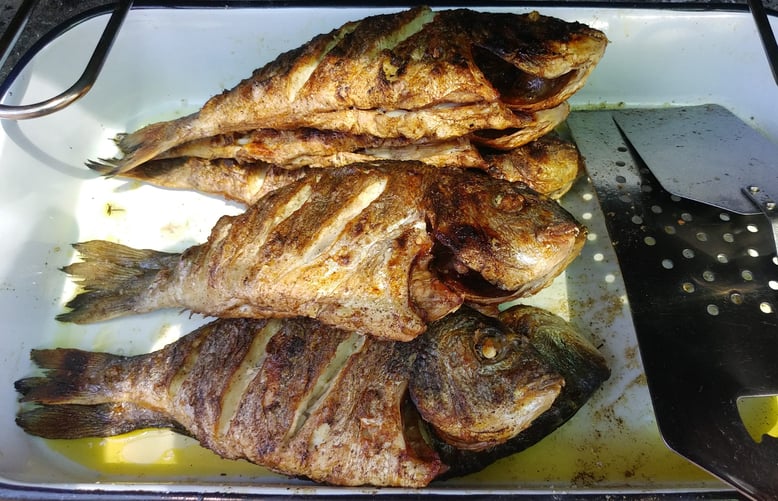 #povlja #islandbrac #wyspabrac #isolabrac #inselbrac #adriatic #sea #mare #meer #dalmatia #dalmazia #dalmatien #croatia #croazia #chorwacja #kroatien #apartmentspovlja #holidayapartments #vacation #vacanze #urlaub #grill #fish 