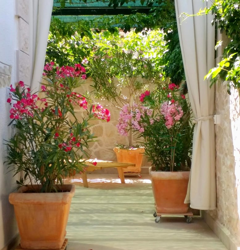 IMG_20190613_113533_483 (1)_1 