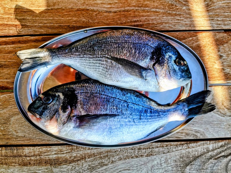 IMG_20220728_072314_4 