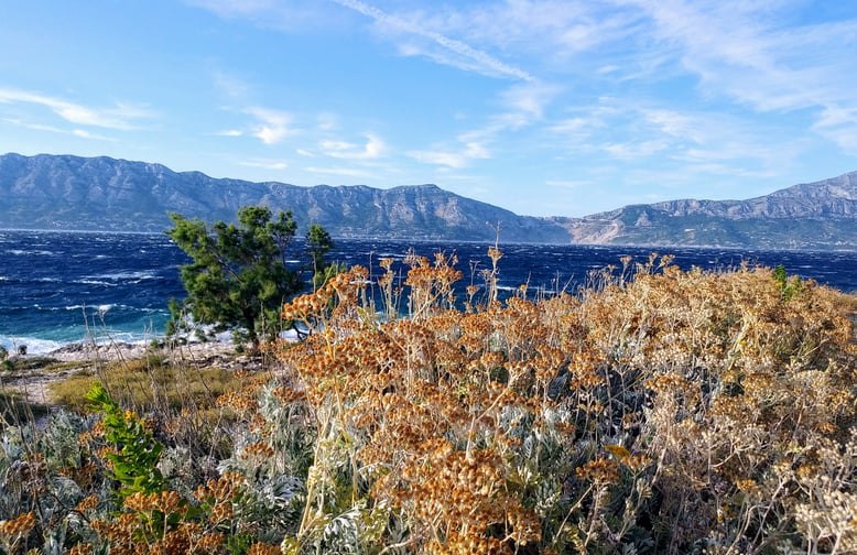 Croatia, Island Brac, Brac, Povlja, Apartments Povlja, Apartments Gracin, Holiday Apartments