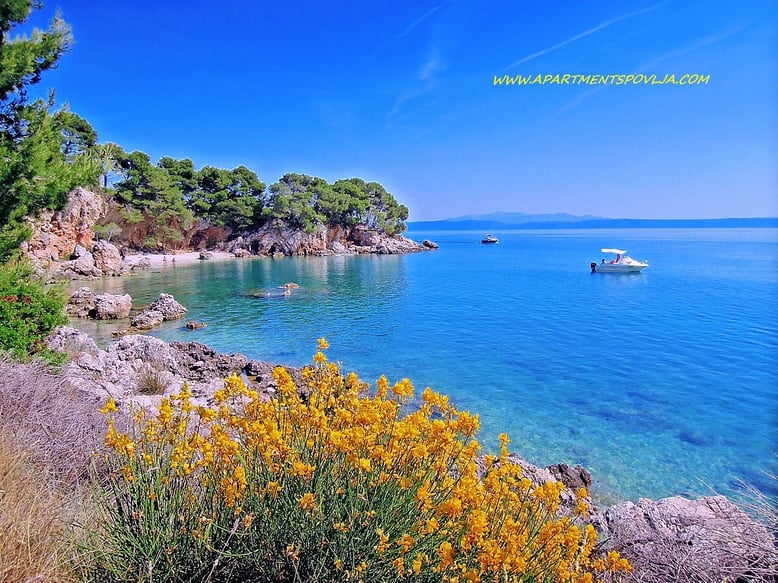 #makarska #makarskariviera #makarskabeaches #adriatic #sea #mare #meer #dalmatia #dalmazia #dalmatien #croatia #croazia #chorwacja #kroatien #apartmentspovlja #holidayapartments #vacation #vacanze #urlaub 