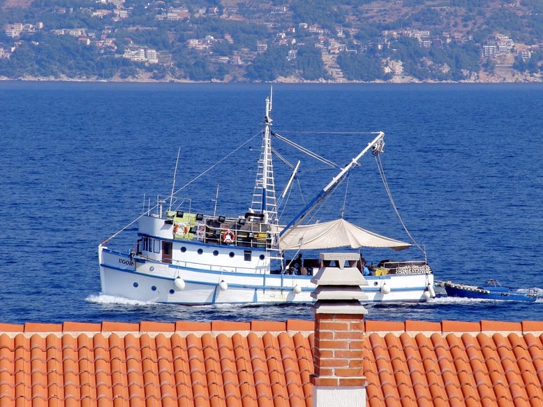 #apartmanibrac #apartmanipovlja #apartmentbracisland #apartmentpovlja #apartmentsbrac #apartmentspovlja #bracisland #povlja #villagracin 