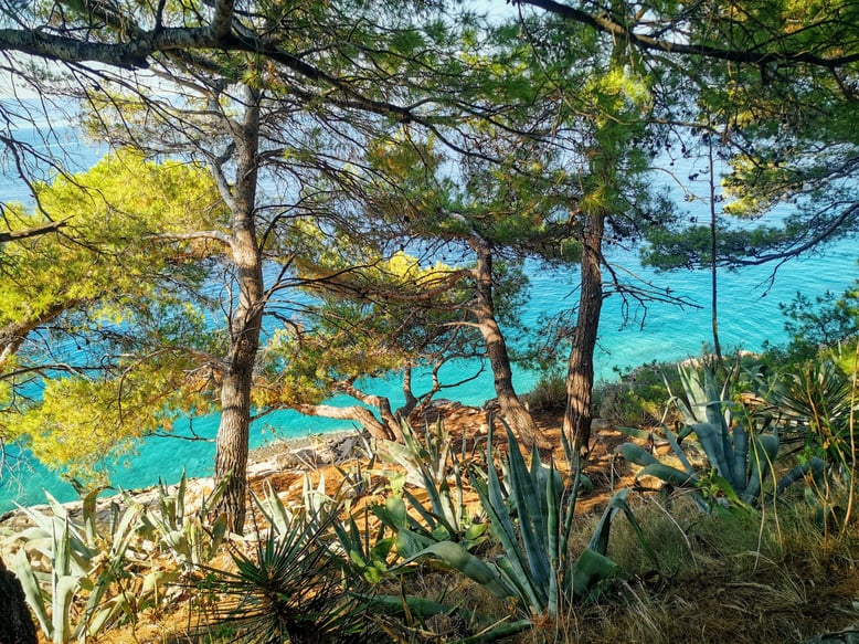 Croatia, Island Brac, Brac, Povlja, Apartments Povlja, Apartments Gracin, Holiday Apartments