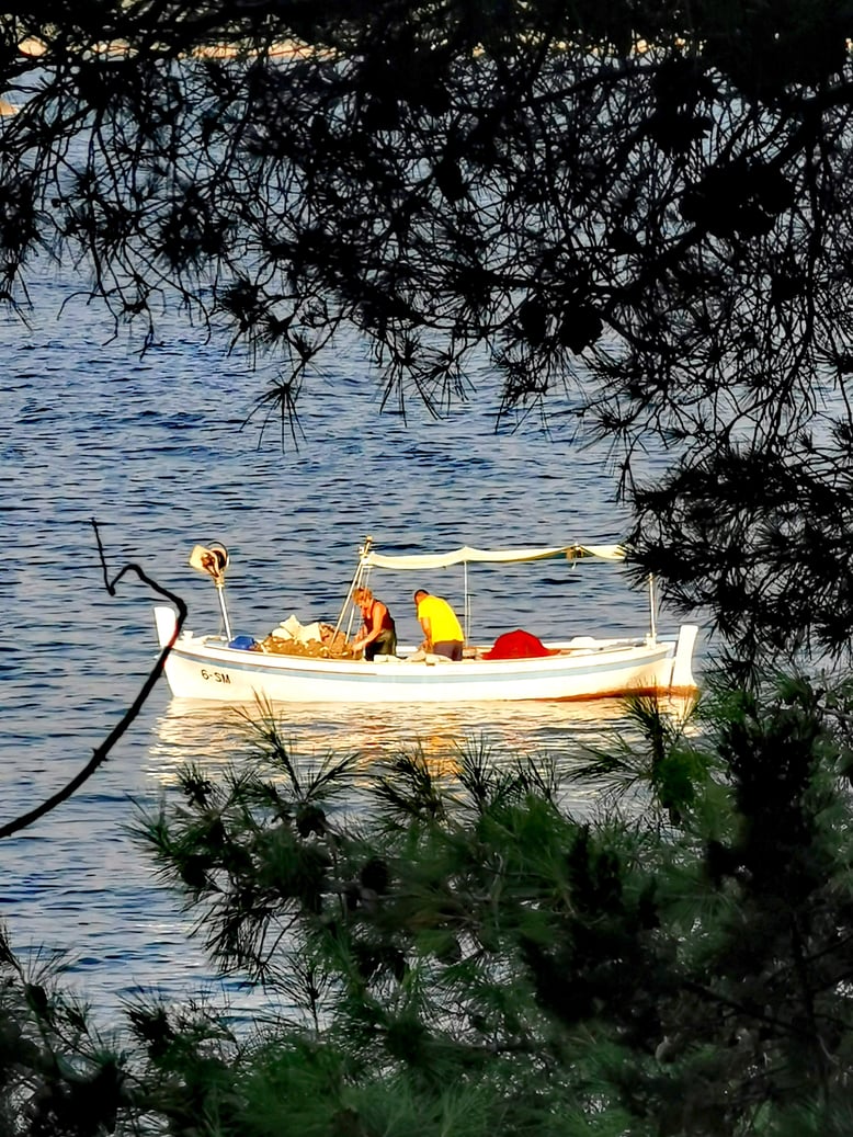 #povlja #islandbrac #wyspabrac #isolabrac #inselbrac #adriatic #sea #mare #meer #dalmatia #dalmazia #dalmatien #croatia #croazia #chorwacja #kroatien #apartmentspovlja #holidayapartments #vacation #vacanze #urlaub  