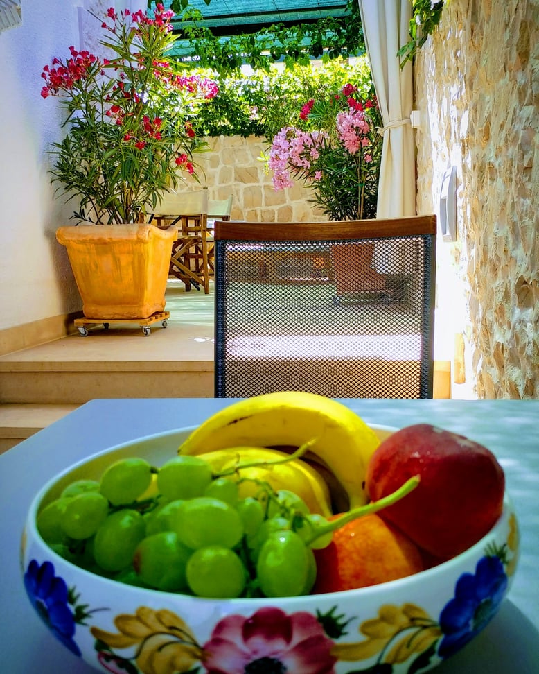 #povlja #islandbrac #wyspabrac #isolabrac #inselbrac #adriatic #sea #mare #meer #dalmatia #dalmazia #dalmatien #croatia #croazia #chorwacja #kroatien #apartmentspovlja #holidayapartments #vacation #vacanze #urlaub #fruit